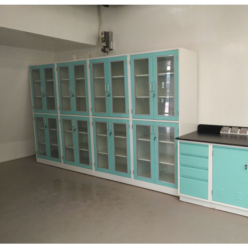 High Standard University Lab Storage cabinet Customization