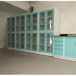 High Standard University Lab Storage cabinet Customization